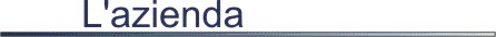 azienda